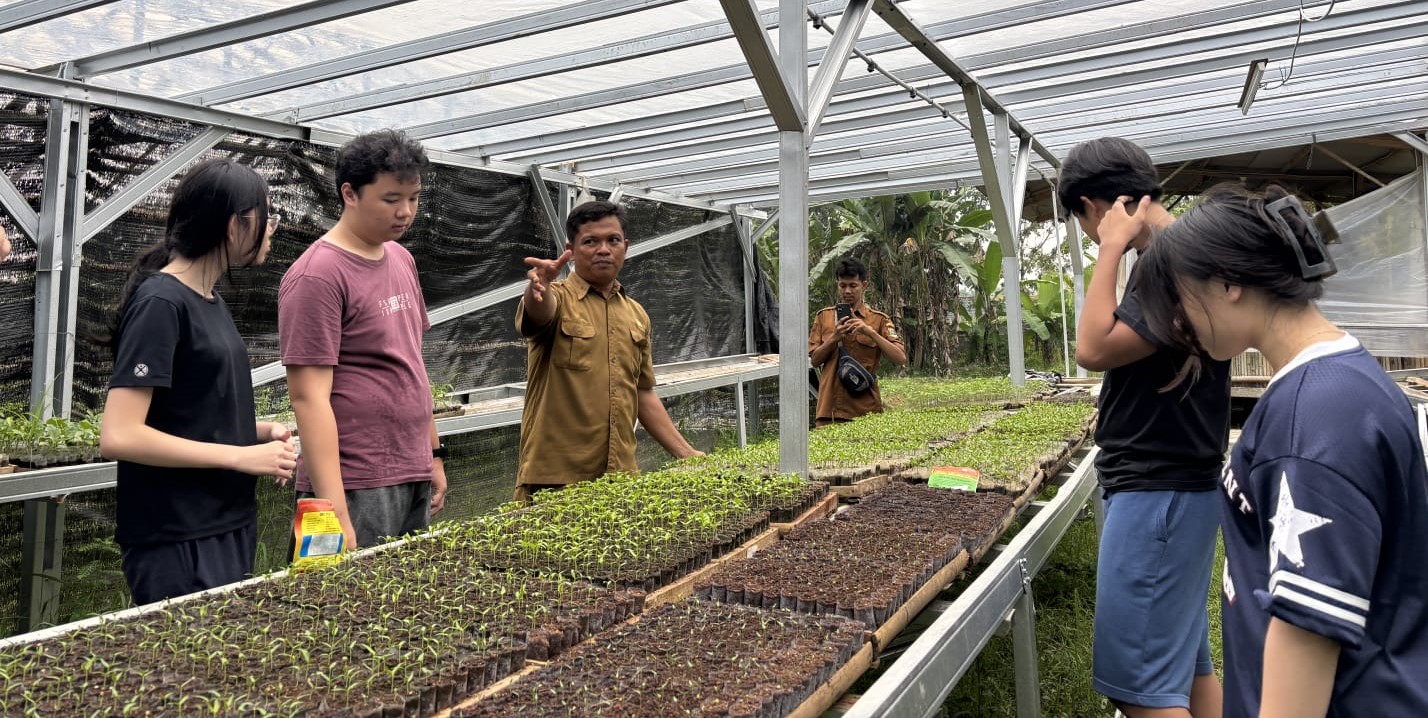 Study Tiru Fransis School BSD, Pelajari Budidaya Tanaman di Lahan SMKN 2 Rangkasbitung